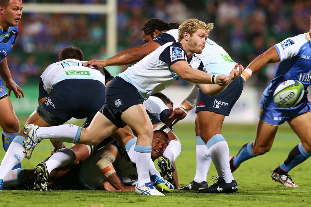 NSW Waratahs backup halfback Matt Lucas will take the reins for the Sydney Rays in the NRC. Photo: Getty Images 