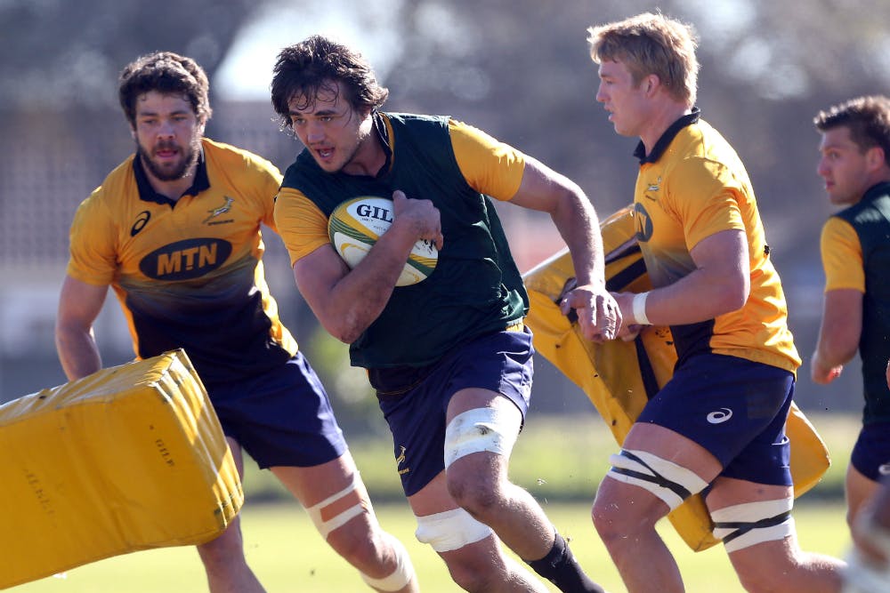 Franco Mostert takes the ball up at Springboks training. Photo: Getty Images