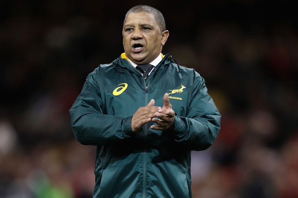 Allister Coetzee feels undermined by South african rugby officials. Photo: Getty Images
