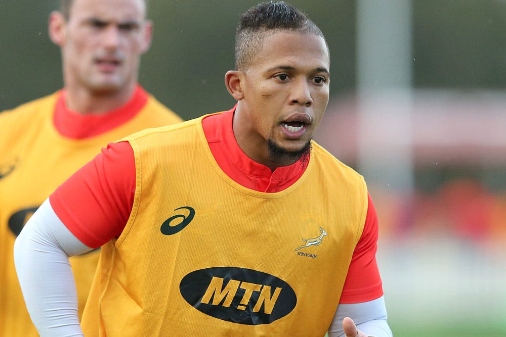 Elton Jantjies is set to start for the Springboks. Photo: Getty Images