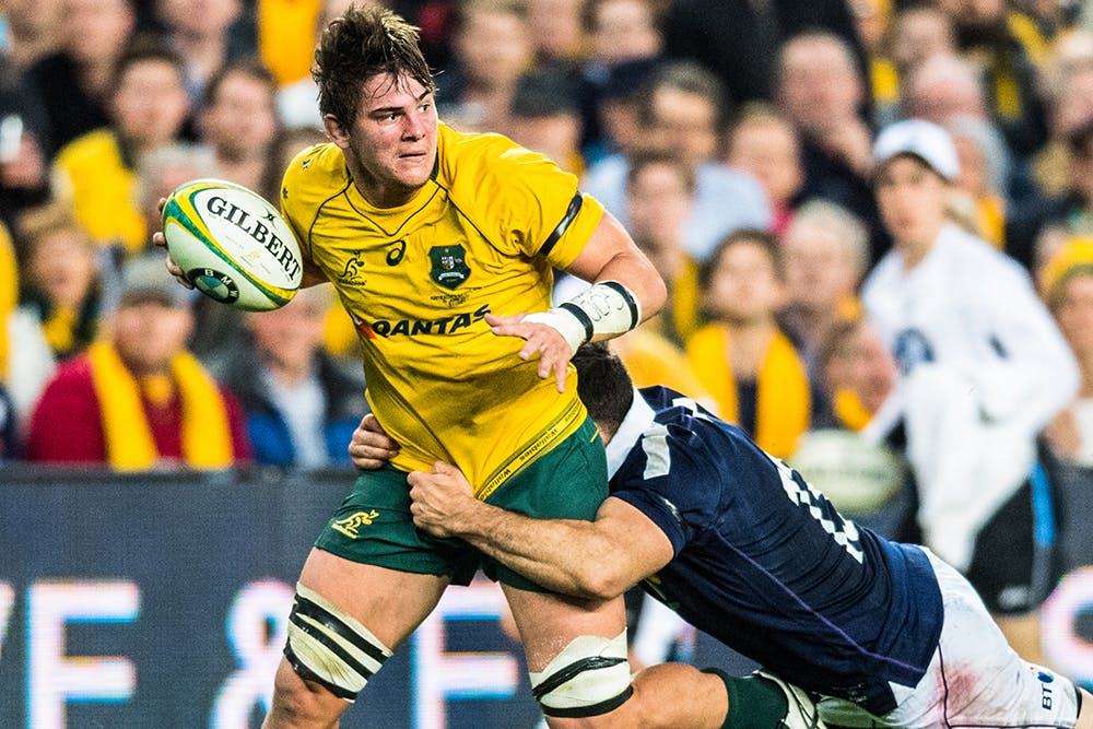Green and gold is only thing on Richard Hardwick's mind now. Photo: RUGBY.com.au / Stuart Walmsley
