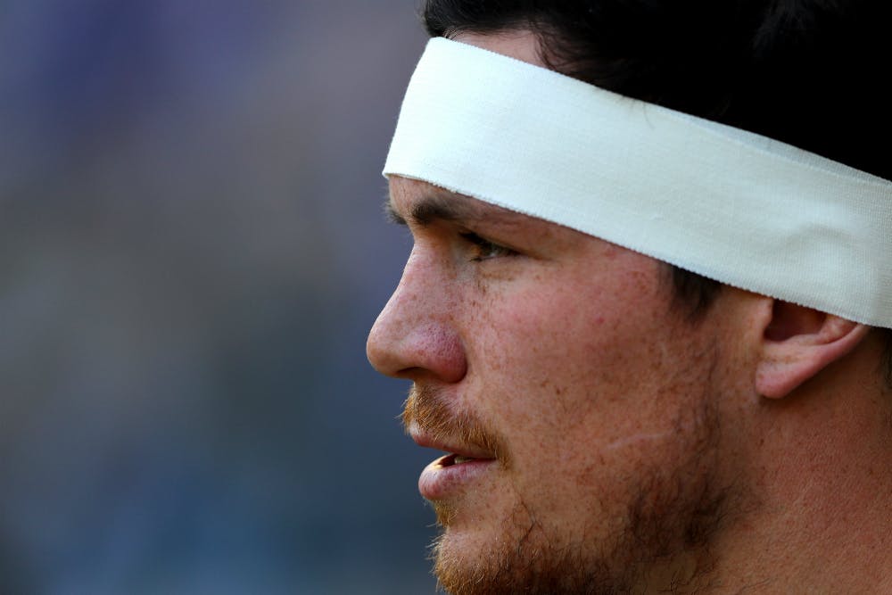 Francois Louw could line up against the Wallabies in Bloemfontein. Photo: Getty Images