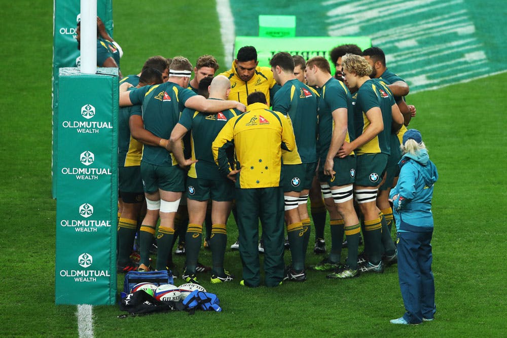 Wallabies coach Michael Cheika is being investigated. Photo: Getty Images