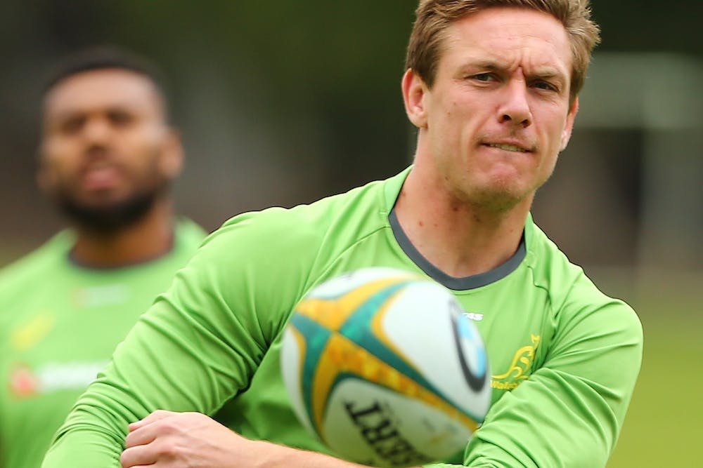 Haylett-Petty in Teddington, London, has been a revelation for the Wallabies in 2016. Photo: Getty Images