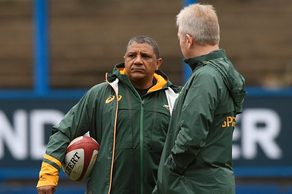 South Africa Coach Allister Coetzee survives, as South Africa looks into mass change. Photo: Getty Images