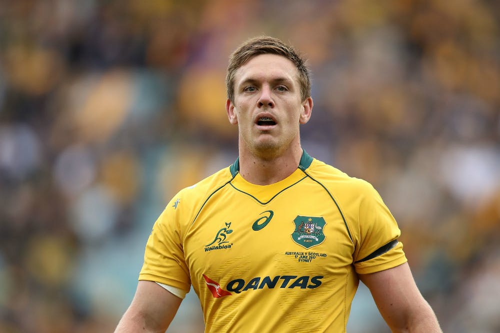 Dane Haylett-Petty has thrown his support Andrew Forrest's Indo-Pacific competition. Photo: Getty Images