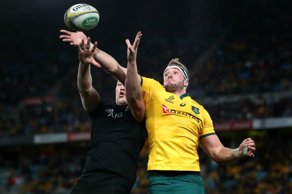 Wallabies lock Izack Rodda has another lineout pinched from his grasp. Photo: Getty Images