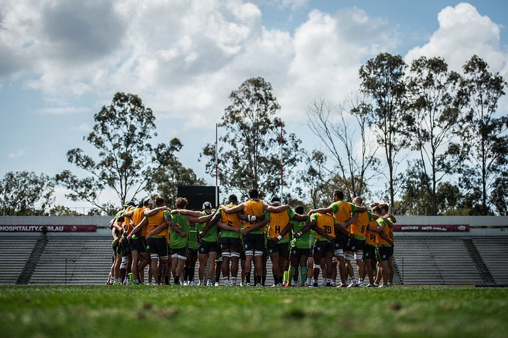 The Wallabies need to tune out the noise. Photo: ARU Media/Stu Walmsley
