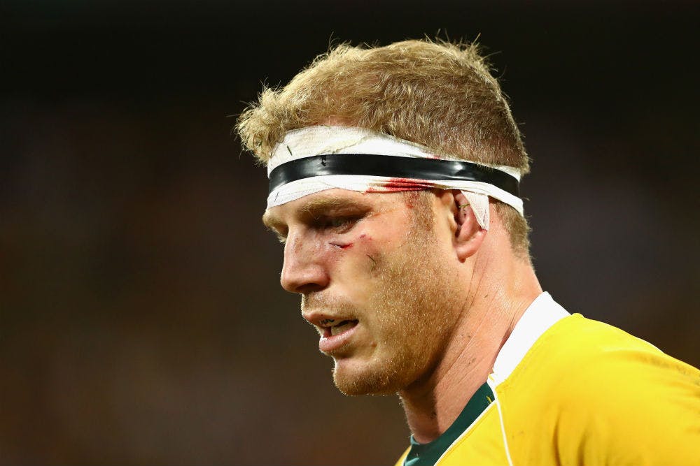 David Pocock missed the final two Tests against England with a fractured eye socket. Photo: Getty Images