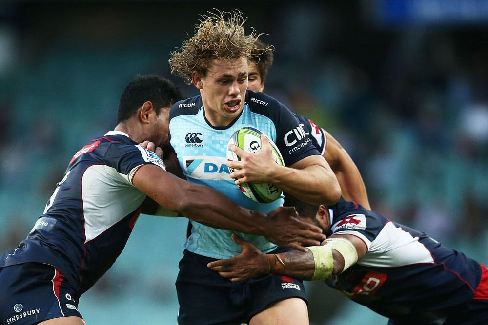 Ned Hanigan will be back in action for the Waratahs on Friday. Photo: Getty Images