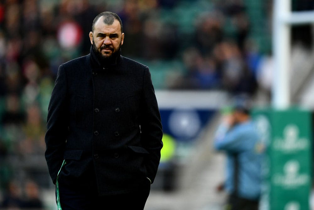 Michael Cheika kept things interesting in 2016. Photo: Getty Images