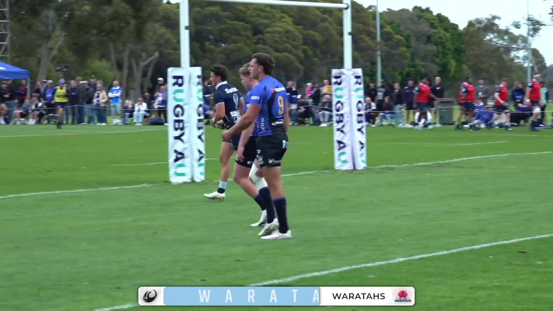 Michael McDonald Try v Western Force | SRP 2025