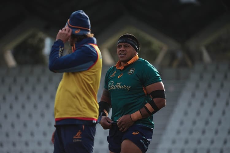 Wallabies prop Allan Alaalatoa is hoping they can pick up where they left off scrum-wise. Photo: Julius Dimataga/Wallabies Media