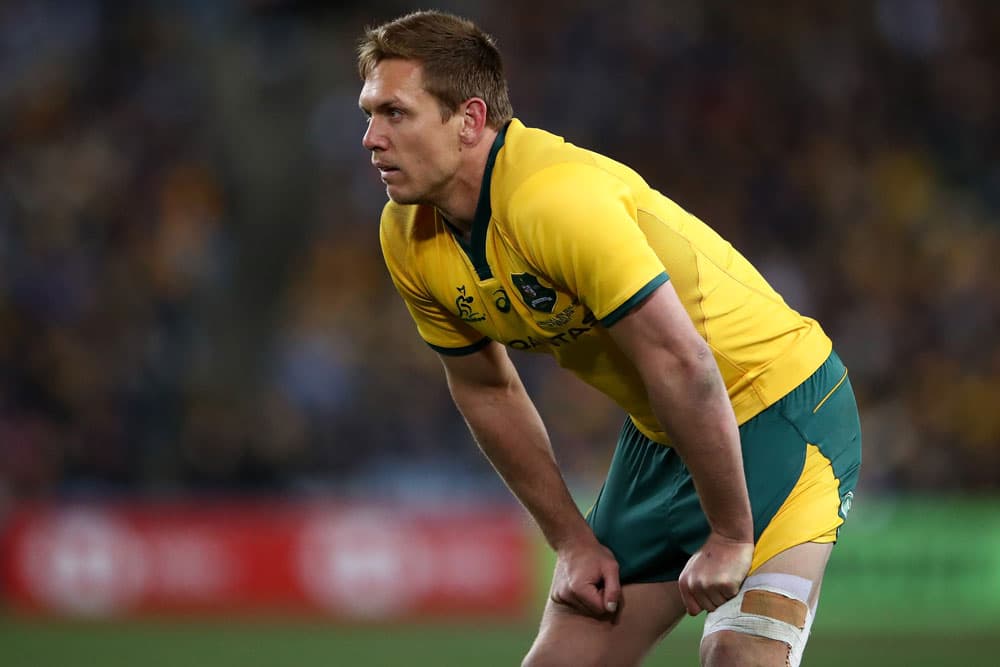 Dane Haylett-Petty has aligned with the Western Force for the 2018 NRC. Photo: Getty Images