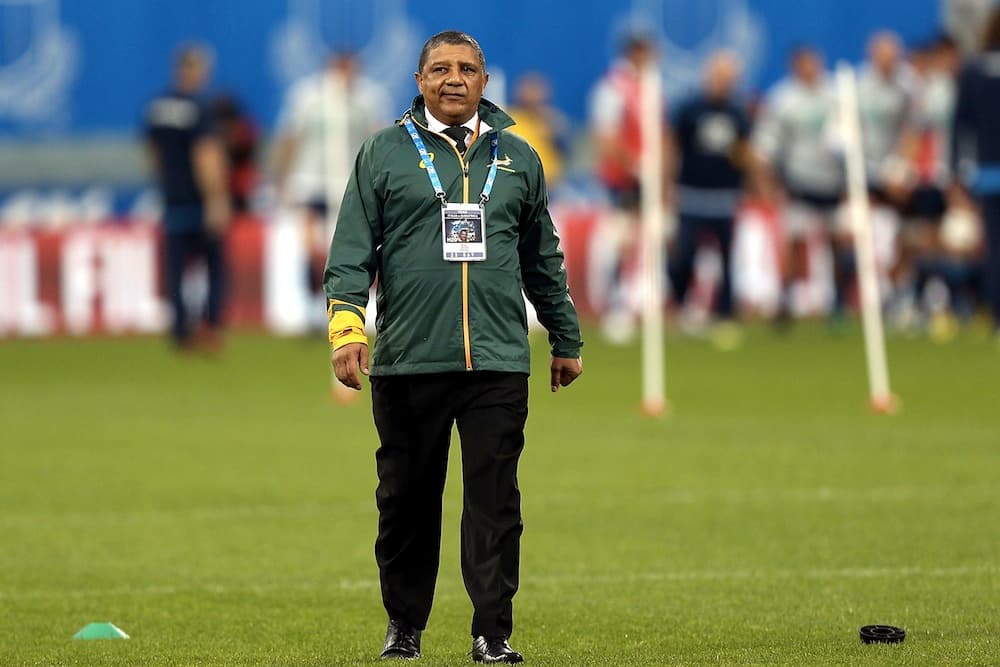 Alistair Coetzee will remain as Springboks coach. Photo: Getty Images.