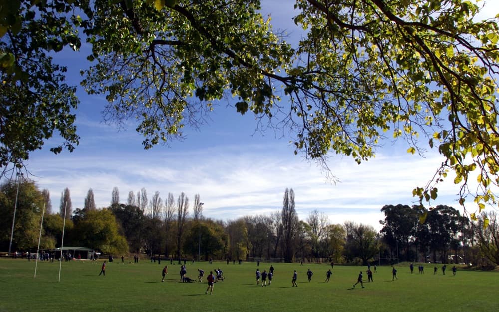The Brumbies sale of their Griffith training base has been referred to ASIC. Photo: Getty Images