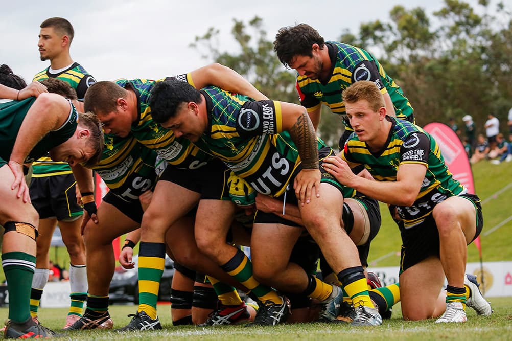Joey Walton packs down for Gordon during Sydney's Shute Shield | Karen Watson