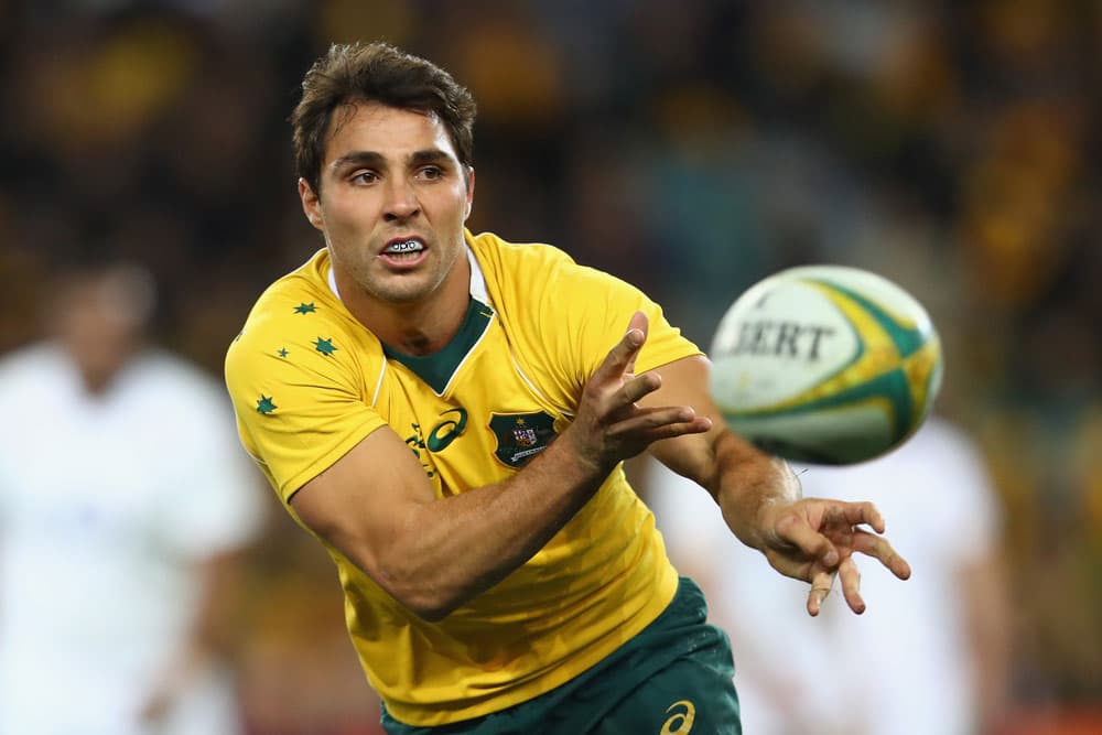 Nick Phipps had a starting chance against England. Photo: Getty Images