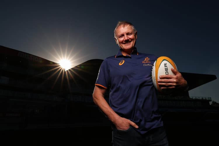 Joe Schmidt is open to releasing players back to clubland for the Lions tour. Photo: Getty Images