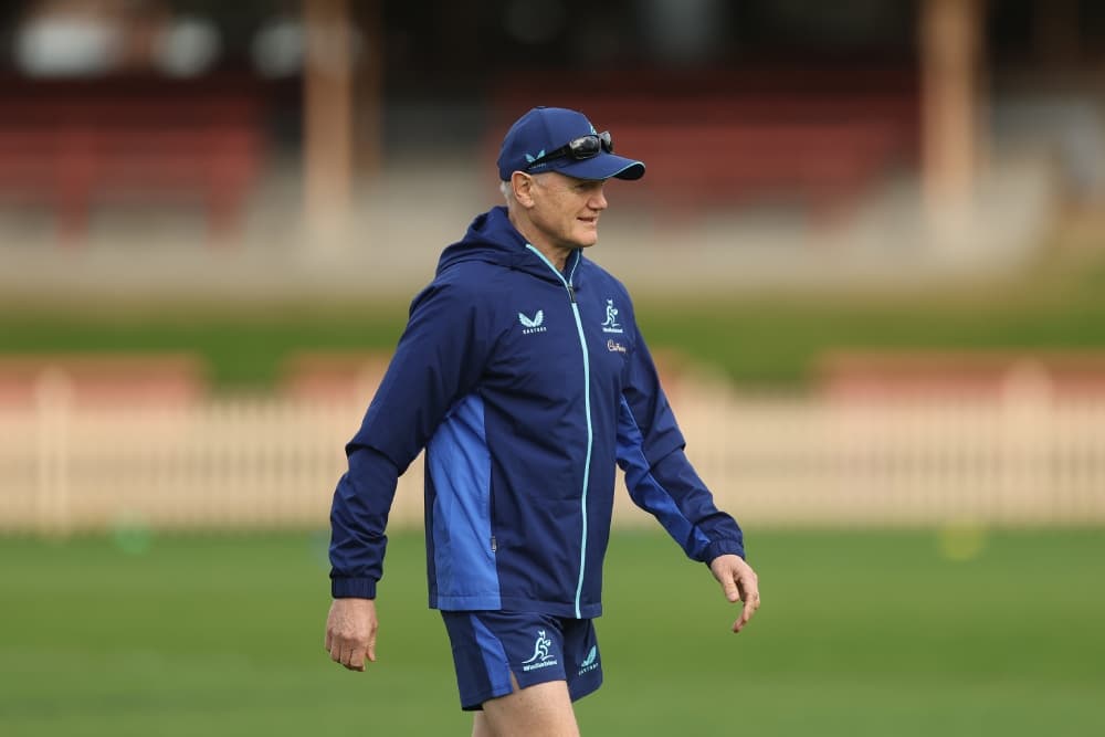 Joe Schmidt has ruled out head coaching after his time with the Wallabies concludes. Photo: Getty Images