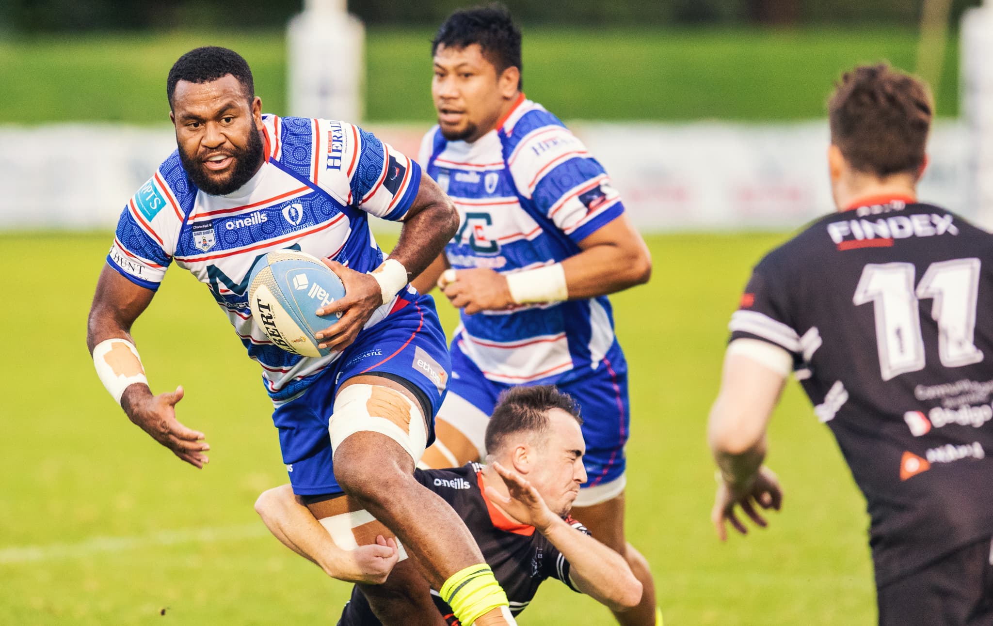 2023 Hunter Wildfires in action - Shute Shield