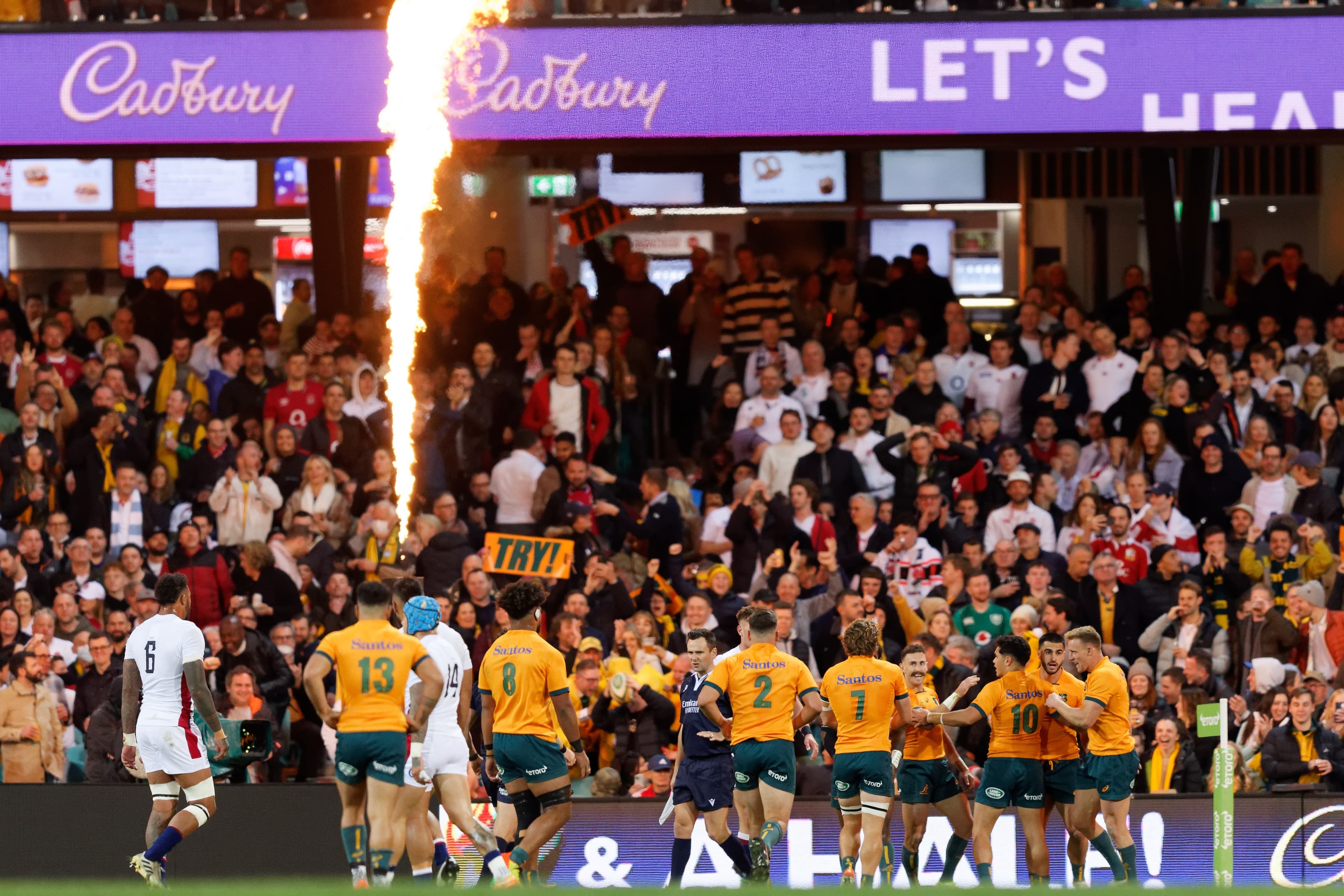 Wallabies Travel | Bledisloe Test in Sydney Image