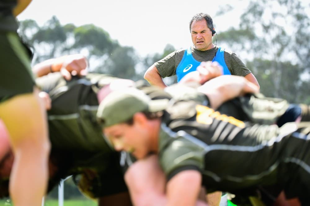 Dave Rennie says the Wallabies won't fall into the same trap as the All Blacks. Photo: Stu Walmsley/Rugby Australia