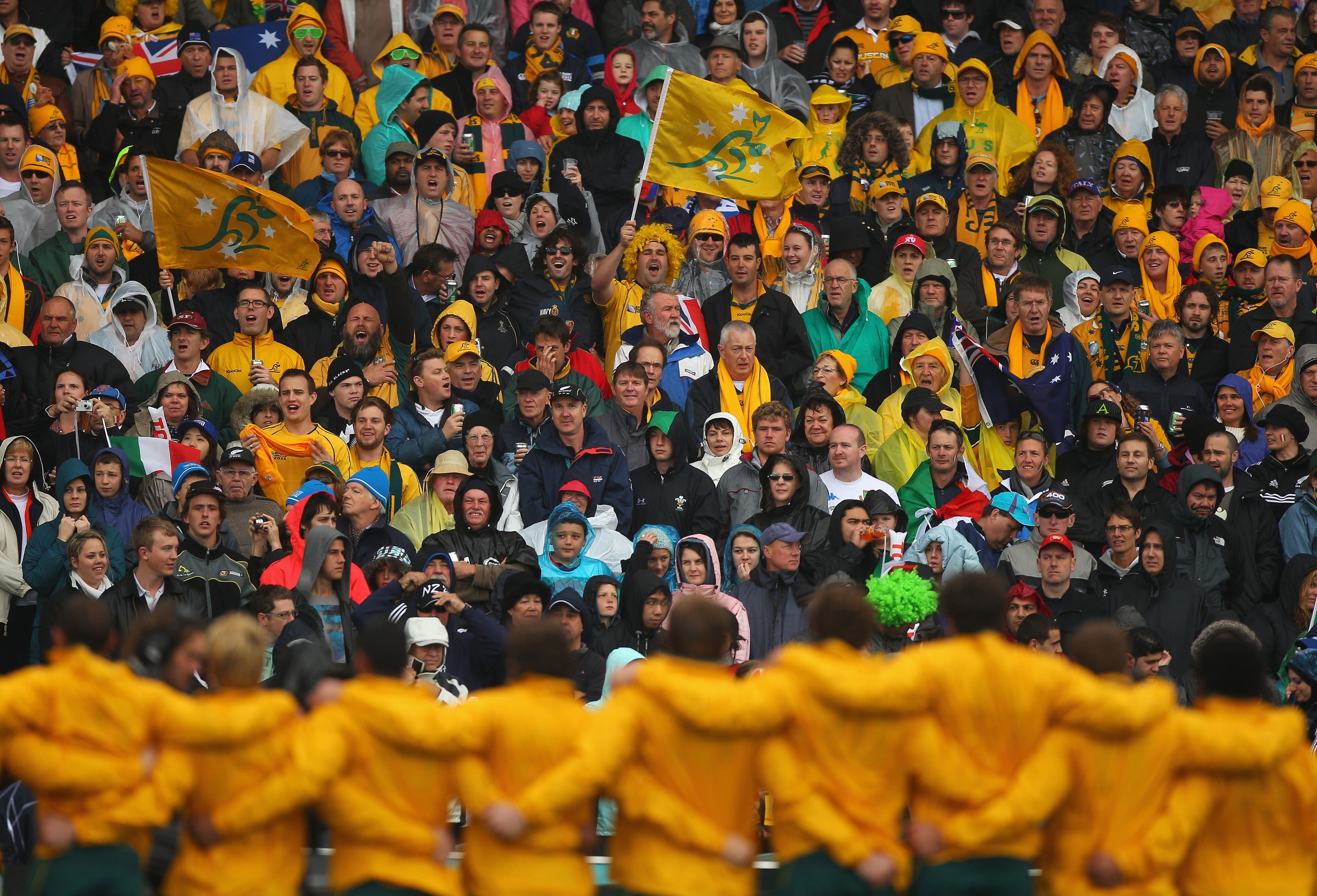 wallabies crowd image