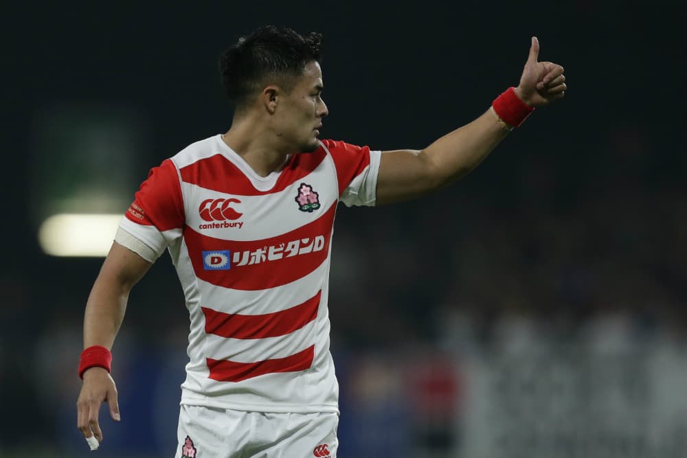Japan are on the up. Photo: Getty Images