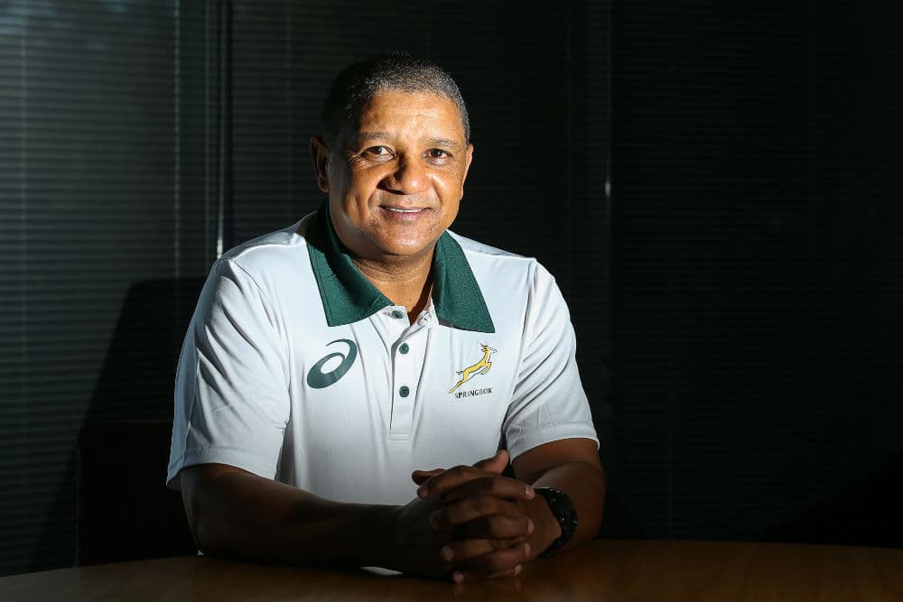 Allister Coetzee has been confirmed as the new Springboks coach. 