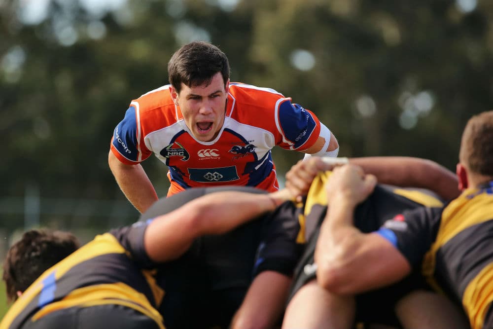 Gale has moved from Queensland to join the Western Sydney Rams. Photo: Karen Watson