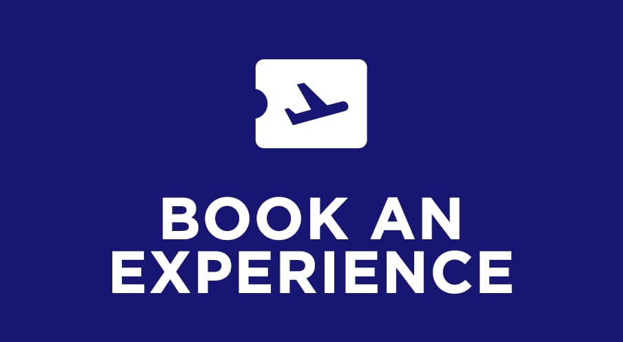 Experience