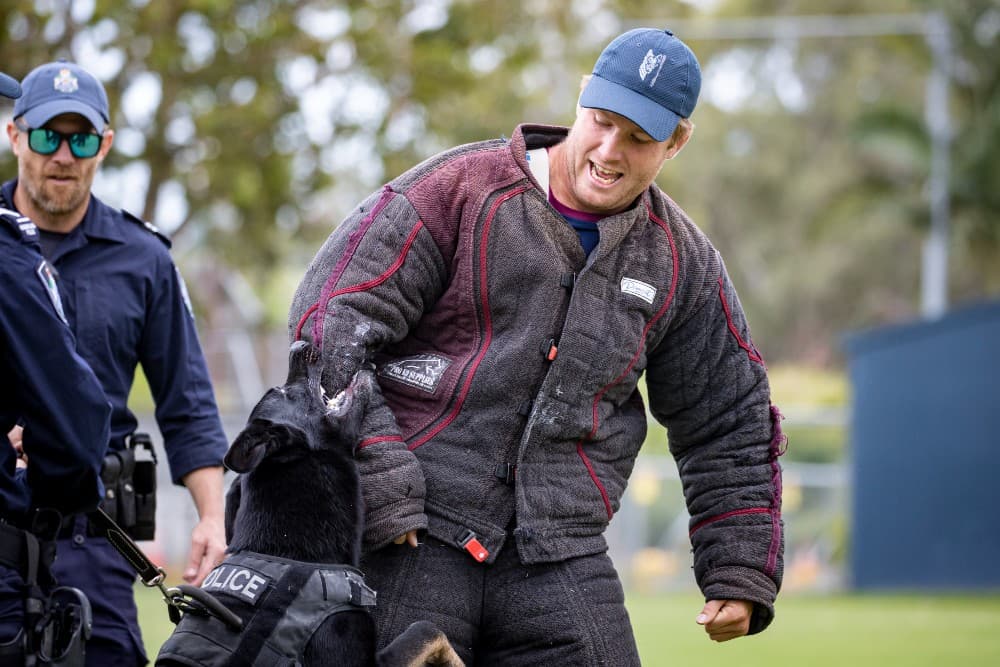 Harry Hoopert believes the unique work with the dog squad will only be beneficial for the Reds. Photo: Getty Images