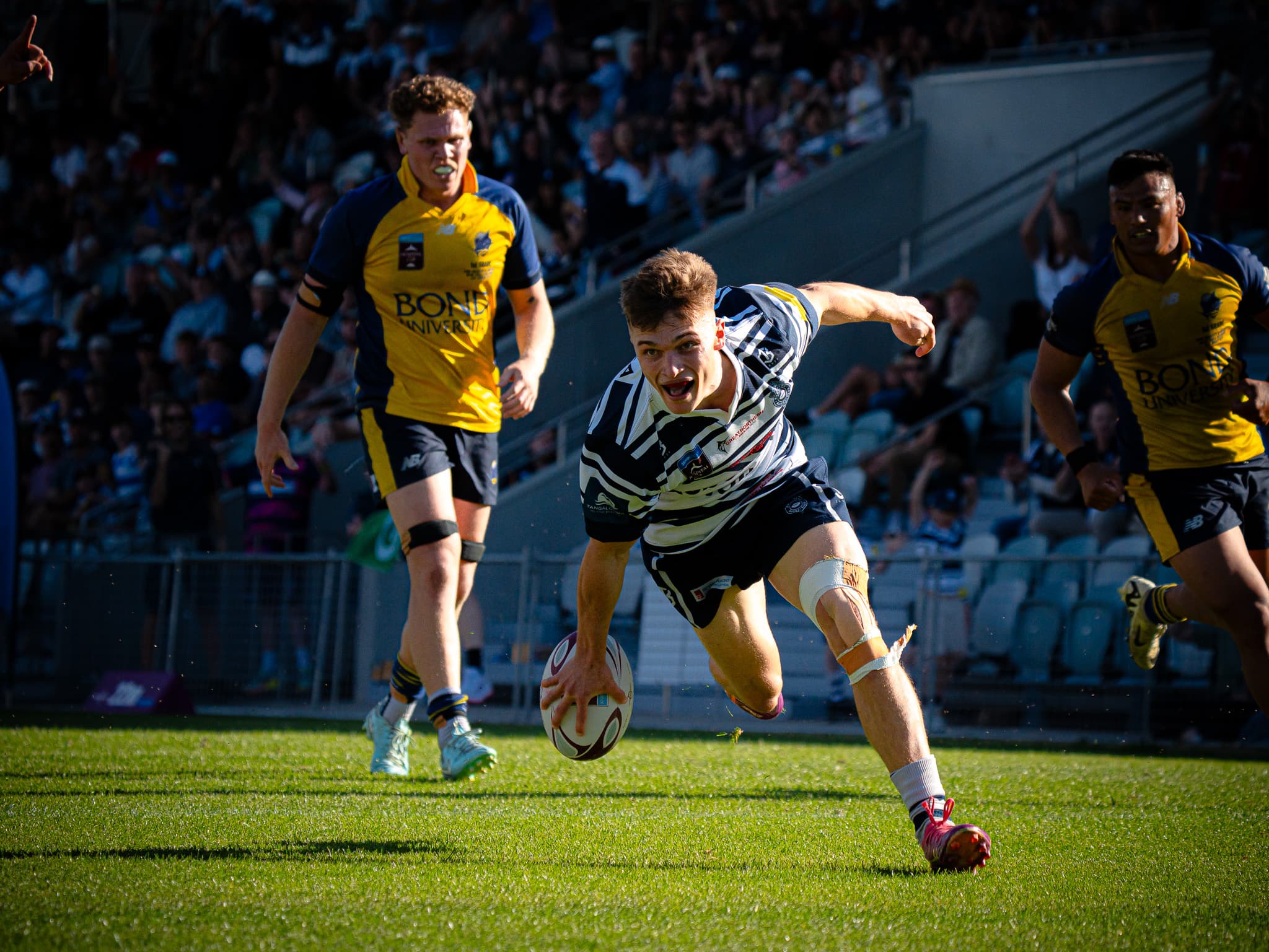 Will Cartwright