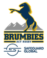 Brumbies
