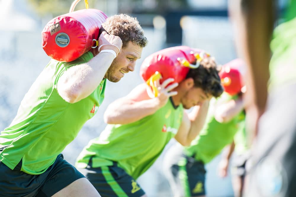 David Pocock is one half of a devastating backrow combo. Photo: ARU Media/Stu Walmsley