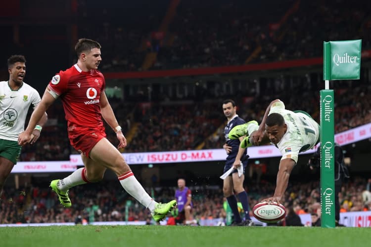 The Springboks have inflicted a massive defeat on Wales. Photo: Getty Images