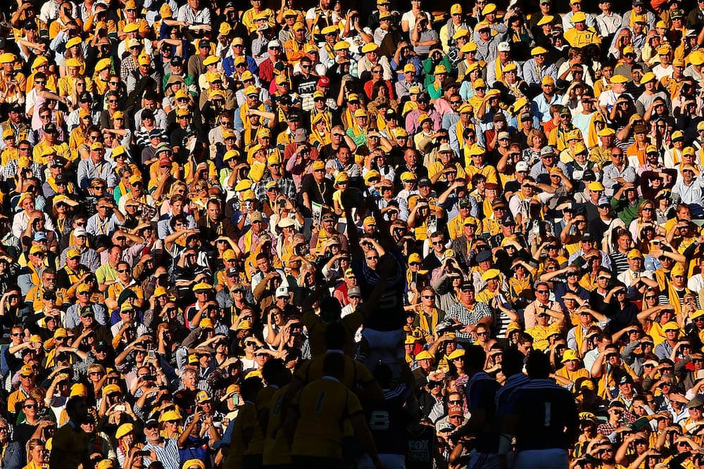 The Nations Championship is set to be lucrative for World Rugby and its member nations. Photo: Getty images