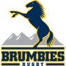 Brumbies