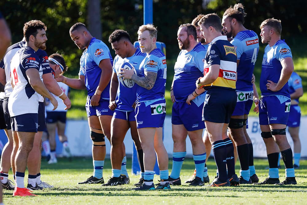 Two Blues in action Eastwood in Round One. Photo: Karen Watson 