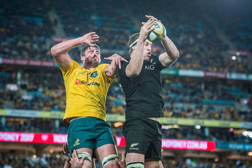 The Wallabies need to harness their disappointment. Photo: Getty Images