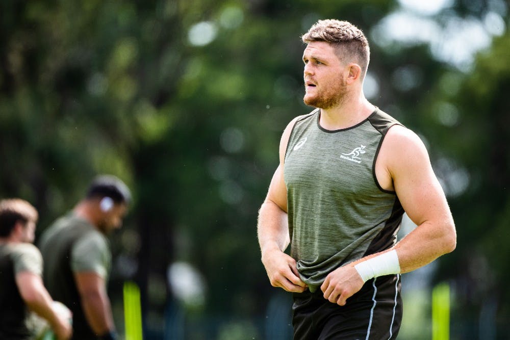 Lachie Swinton is set to make his debut against the All Blacks on Saturday. Photo: Stu Walmsley/Rugby Australia