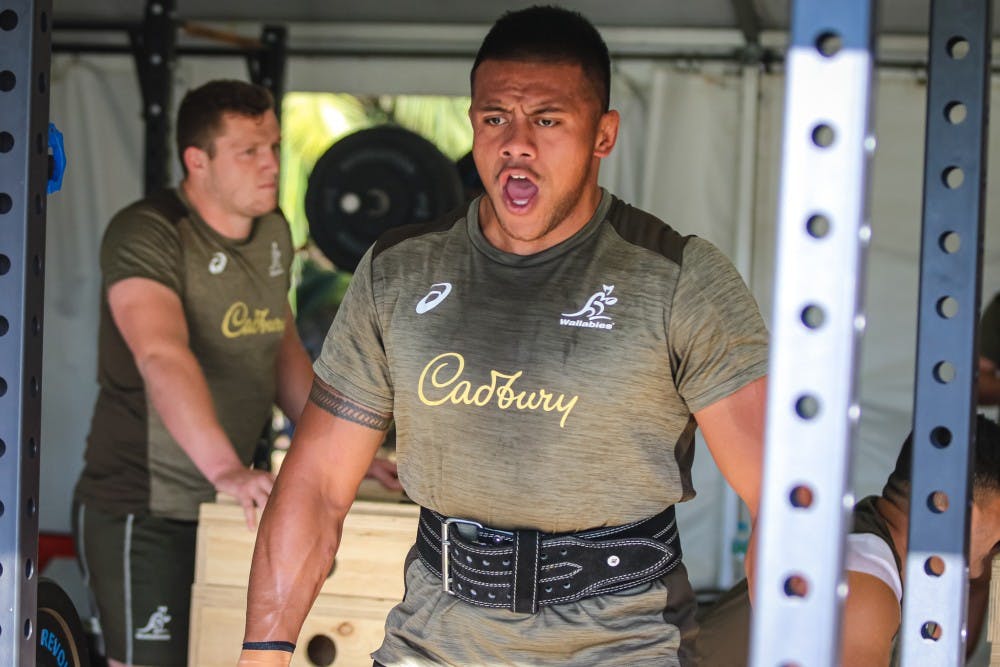 Allan Alaalatoa is looking to lead the Wallaby pack to match the All Blacks. Photo: Getty Images