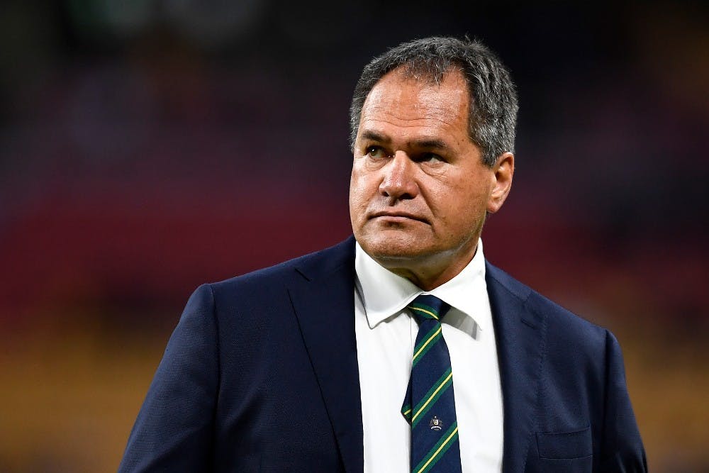 Dave Rennie says the Wallabies won't get carried away with their Bledisloe Cup win over the All Blacks. Photo: Getty Images
