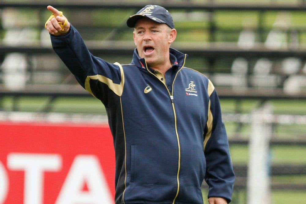 Nick Scrivener will coach the Canberra Vikings. Photo: Getty Images