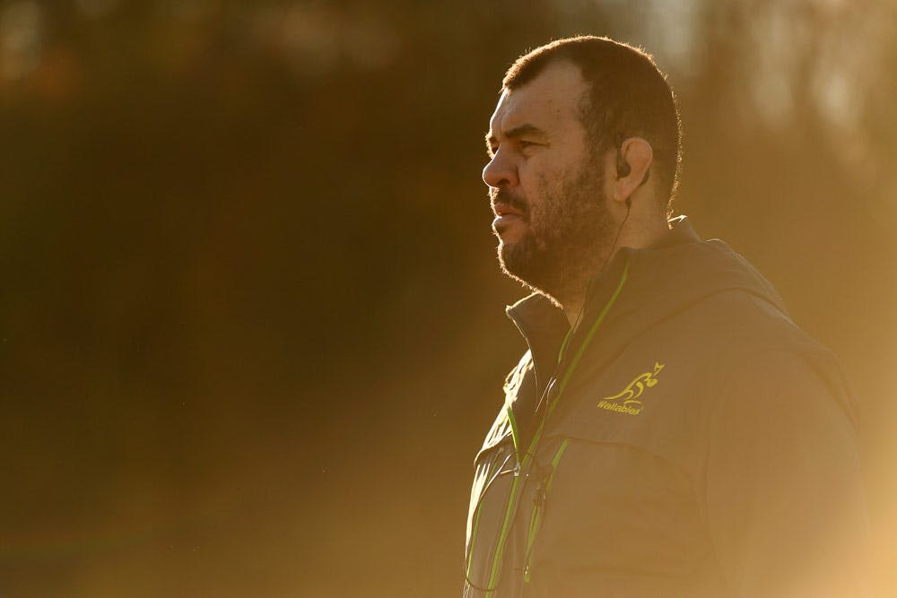 Michael Cheika and three other high-profile influential coaches will be part of a new coaching think tank. Photo: Getty Images