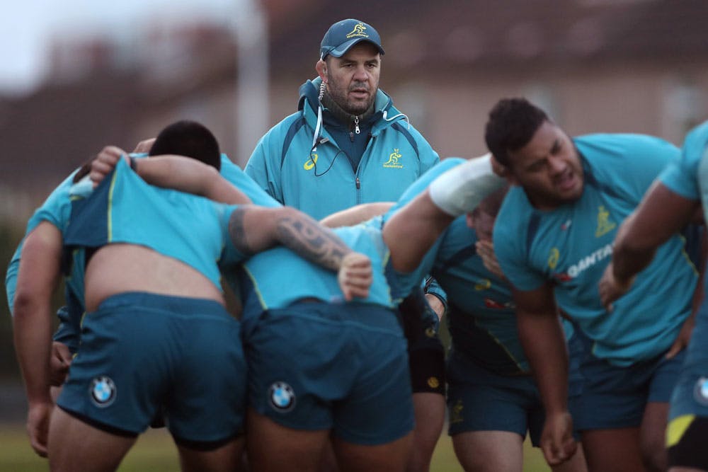 Michael Cheika has been cleared. Photo: Getty Images