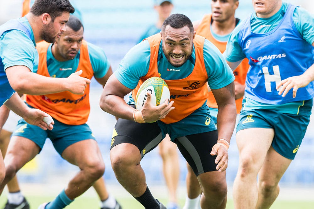 The Wallabies need to prove themselves against New Zealand. Photo: RUGBY.com.au/Stuart Walmsley