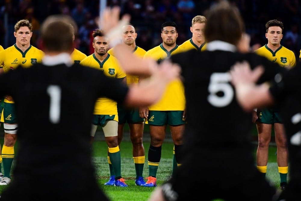Could a Bledisloe Cup match be held in Adelaide? Photo: Rugby.com.au/Stuart Walmsley