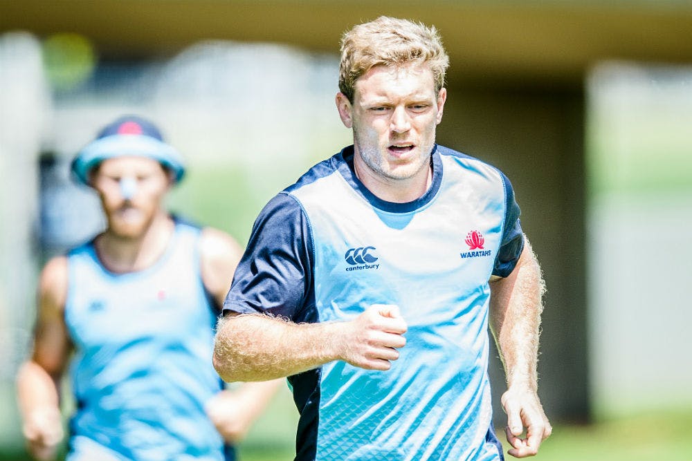Hegarty played just two games for the Waratahs in 2016 before rupturing his ACL. Photo: ARU Media/Stu Walmsley